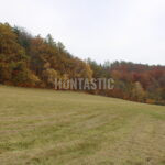 Honitba Železné hory (16)