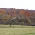 Honitba Železné hory (19)