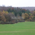 Honitba Železné hory (2)