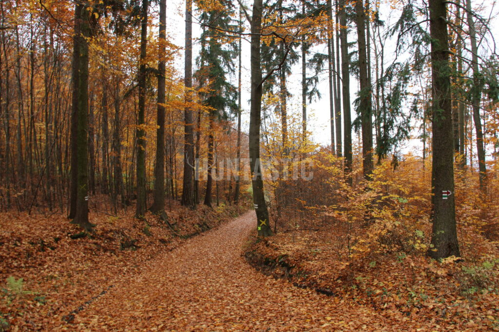 # Hunting Ground Javorka