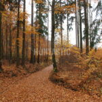 # Hunting Ground Javorka