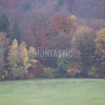 Honitba Železné hory (45)