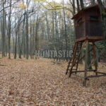 Honitba Železné hory (51)