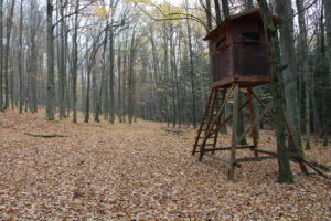 Hunting game in the Iron Mountains 2026/2027 2