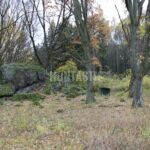 Honitba Železné hory (6)