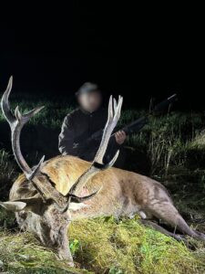 Hunting game in South Bohemian 2026/2027 1