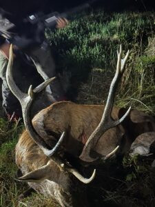 Hunting game in South Bohemian 2026/2027 0