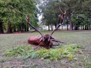Red stag hunt in Serbia 2027 2