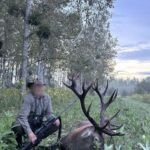 Red stag hunt in Serbia