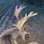 Hunting under Bezděz