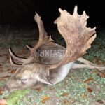 Lov pod Bezdězem (120)