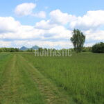 Lov pod Bezdězem (13)