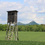 Povolenka na lov na Kokořínsku ✅