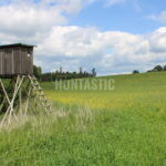 Lov pod Bezdězem (6)