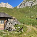 Marmot Hunting in the Alps