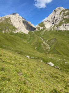 Hunting marmots in Austria at Grossglockner 2026 1