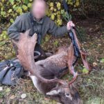 Lov daňků na Šumavě (1)