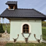 # Fallow Deer Hunting in Šumava