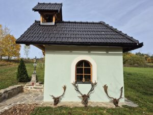 # Fallow Buck Hunting in Šumava 2026 3