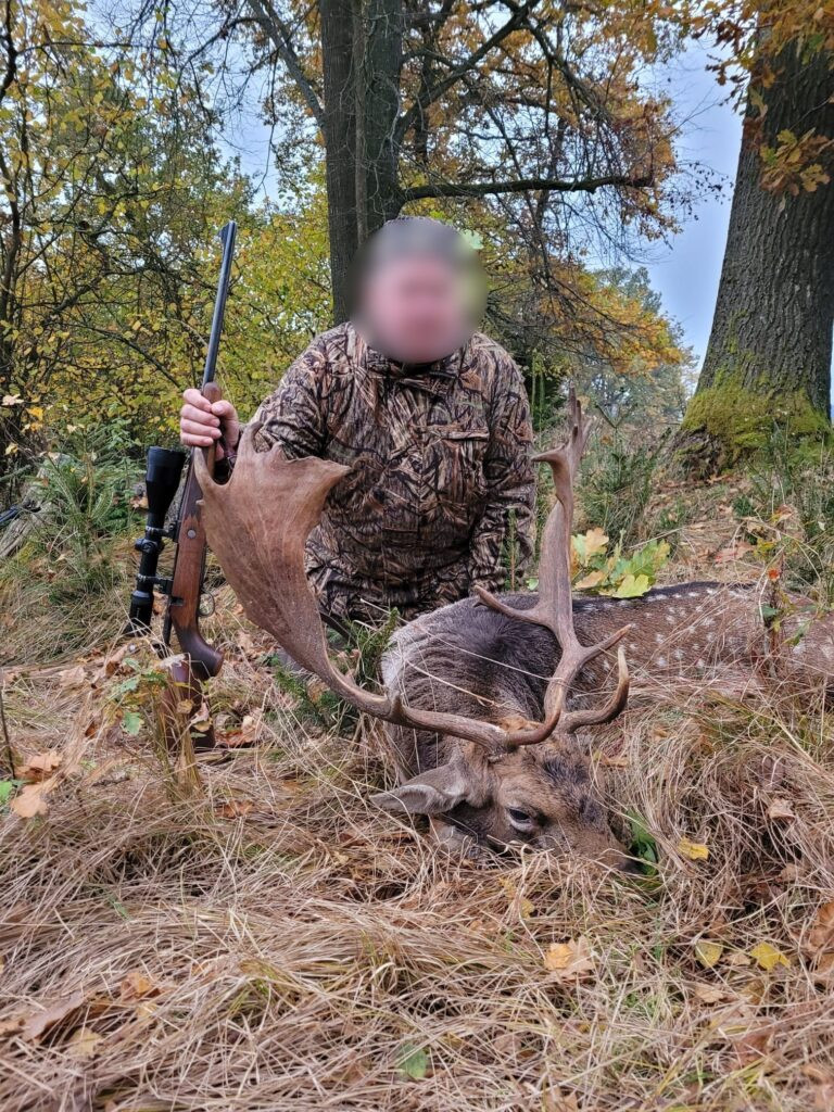 # Fallow Buck Hunting in Šumava 2026