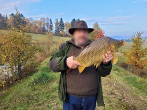 # Fallow Buck Hunting in Šumava 2026 2