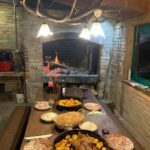 Wild boar tuskers hunt in Croatia