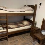 Wild boar tuskers hunt in Croatia