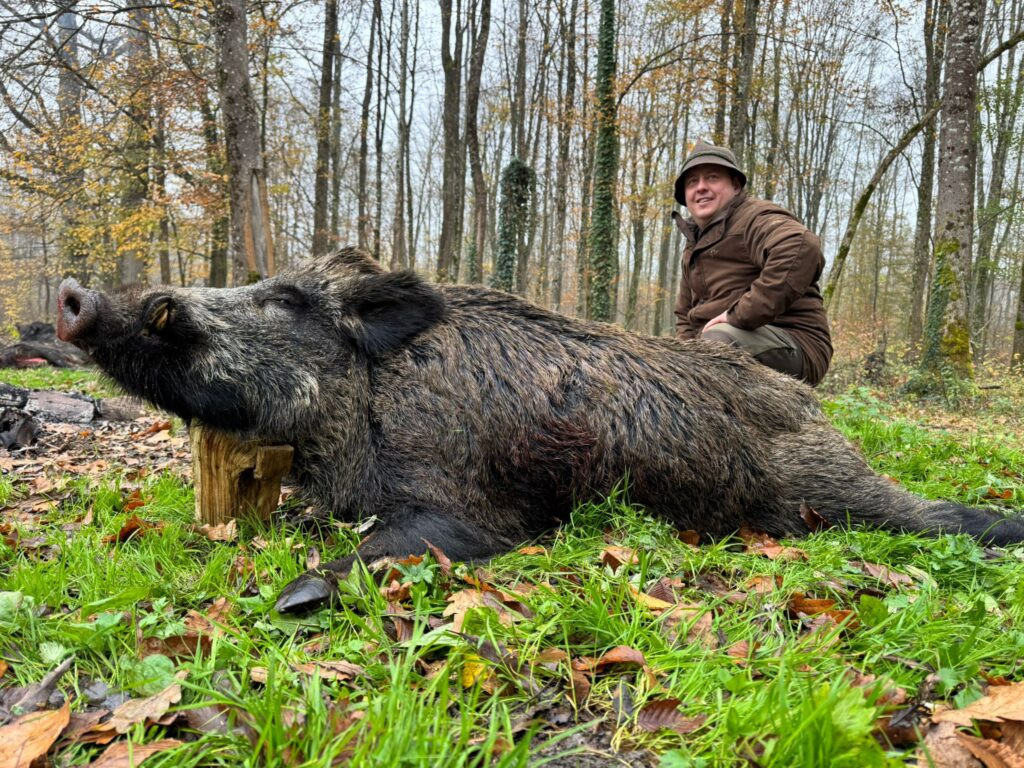 Hunting wild boar- tusker in Croatia 2026/2027