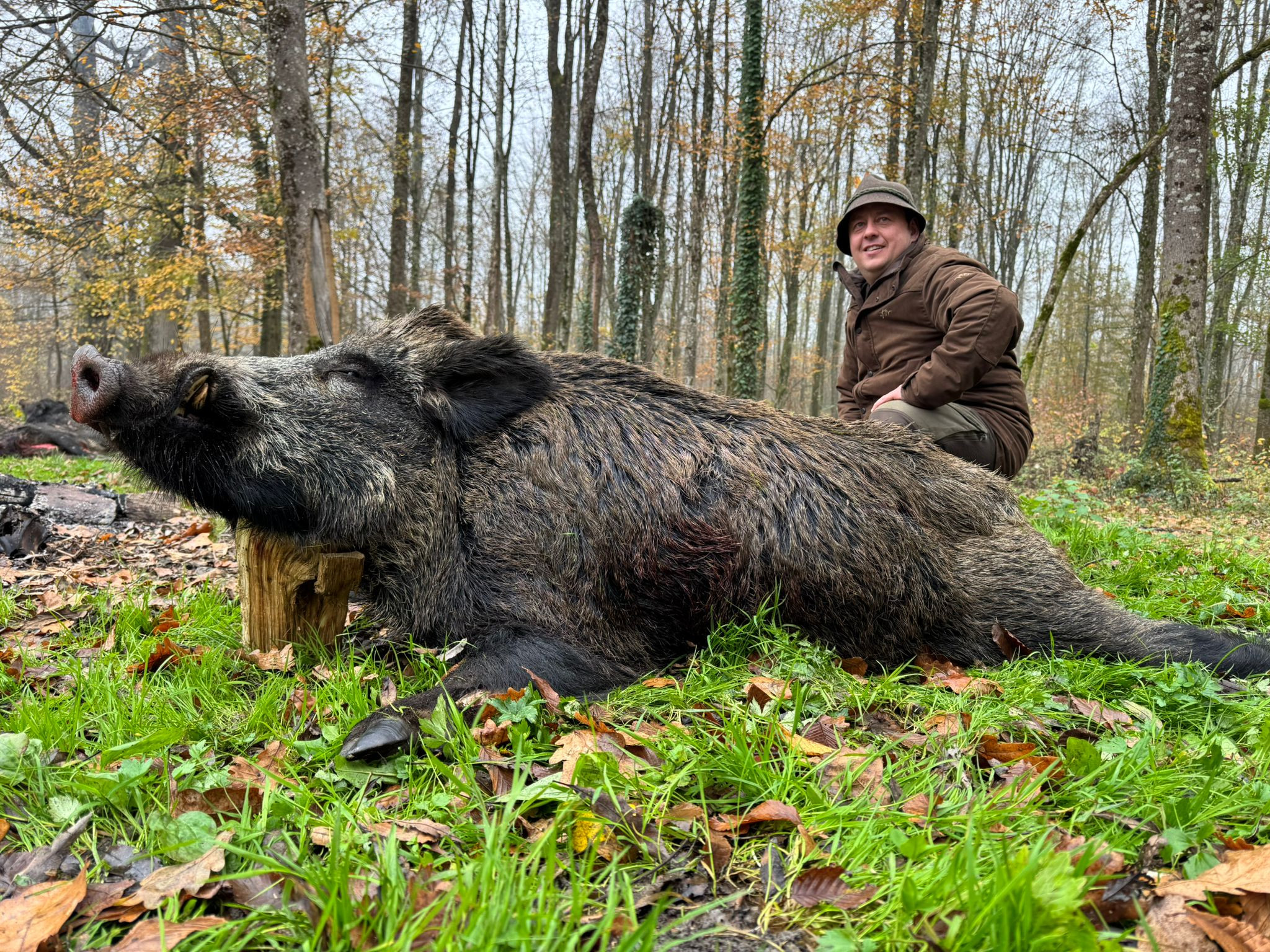 Hunting wild boar- tusker in Croatia 2026/2027