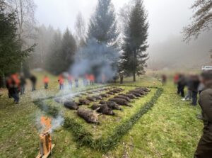 Driven hunt for 3 days in the Czech Rebublic 2026 0