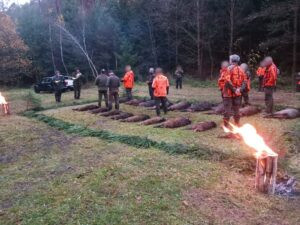 Driven hunt for 3 days in the Czech Rebublic 2026 1