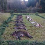 Driven hunt three days 2025