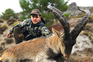 Hunting of Southeastern ibex in Spain 2026/2027 3