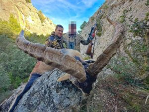 Hunting of Southeastern ibex in Spain 2026/2027 2