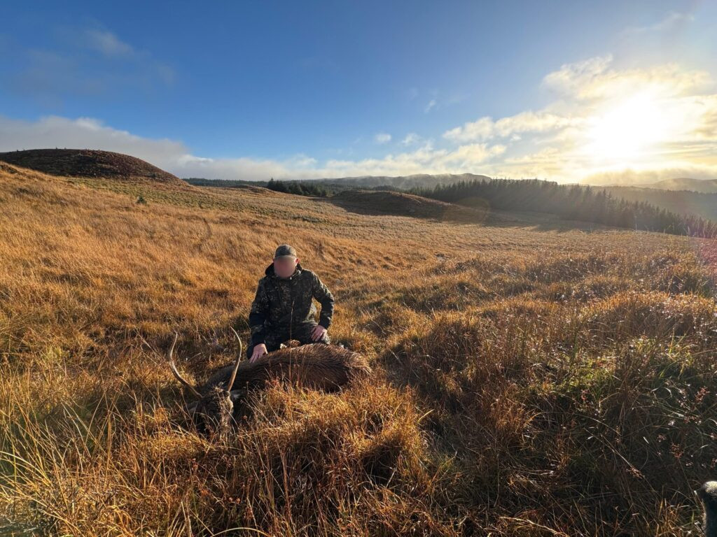 Red deer hunting in Scotland 2026/2027