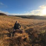 Red deer hunting in Scotland