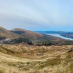 Hunting the Scottish Highlands ✅ Hunting Red Stag in Scotland ✅