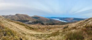 Red deer hunting in Scotland 2026/2027 3