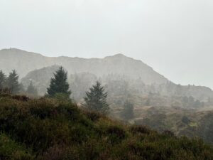 Red deer hunting in Scotland 2026/2027 2