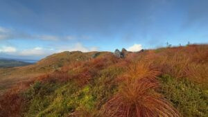 Red deer hunting in Scotland 2026/2027 1