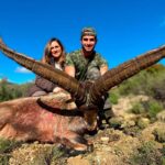Spain ibex