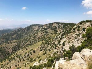 Hunting of southeastern ibex in Spain 2026/2027 0