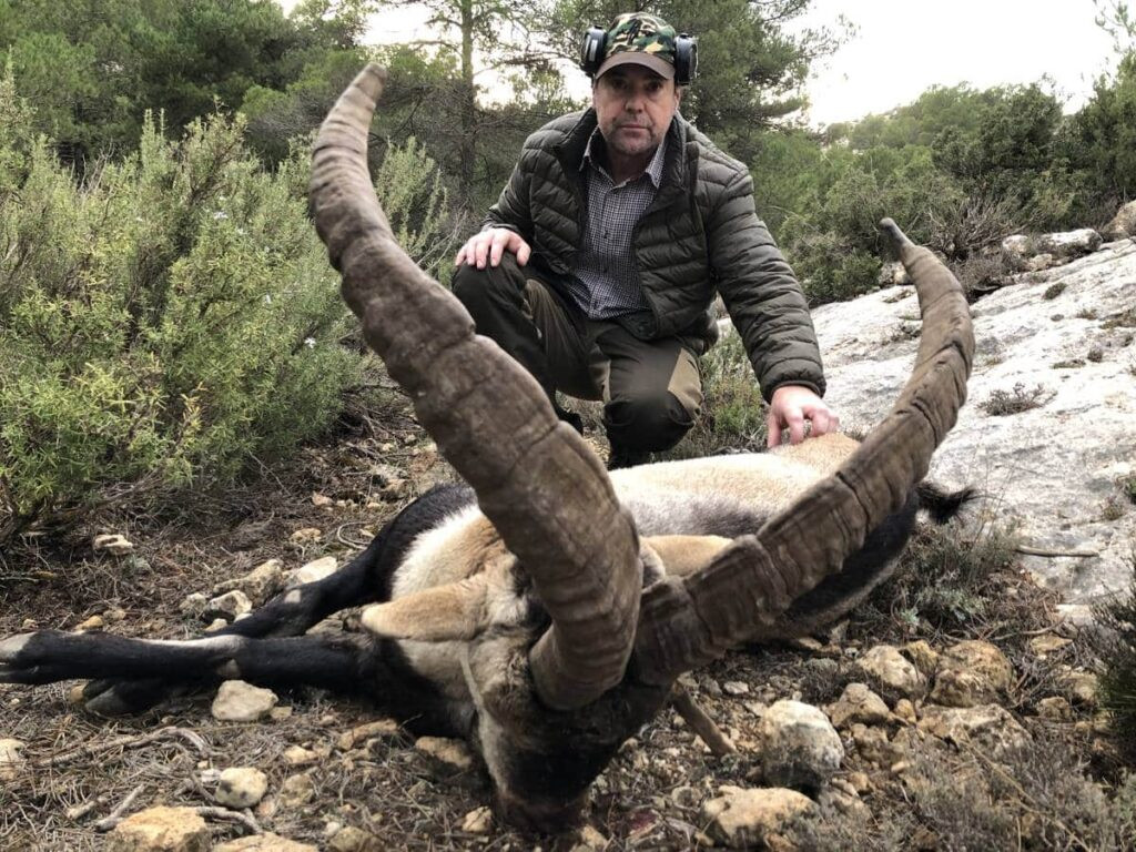Hunting of southeastern ibex in Spain 2026/2027