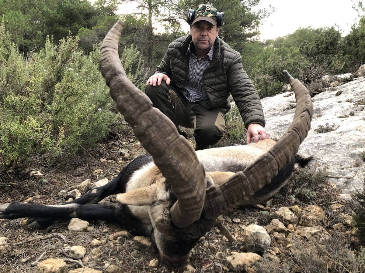 Hunting of southeastern ibex in Spain 2026/2027