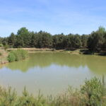 Ploužnice Game Preserve