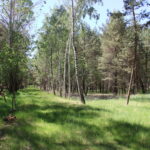 Game Preserve Ploužnice