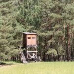 Game Preserve Ploužnice