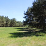 Ploužnice Game Preserve
