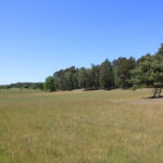 Game Preserve Ploužnice