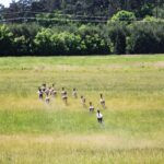 Ploužnice Game Preserve